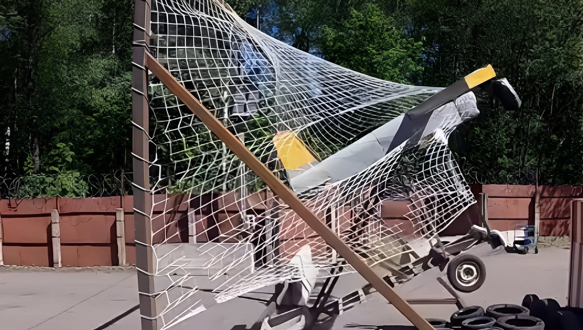   Защитная сеть «Дарвин»