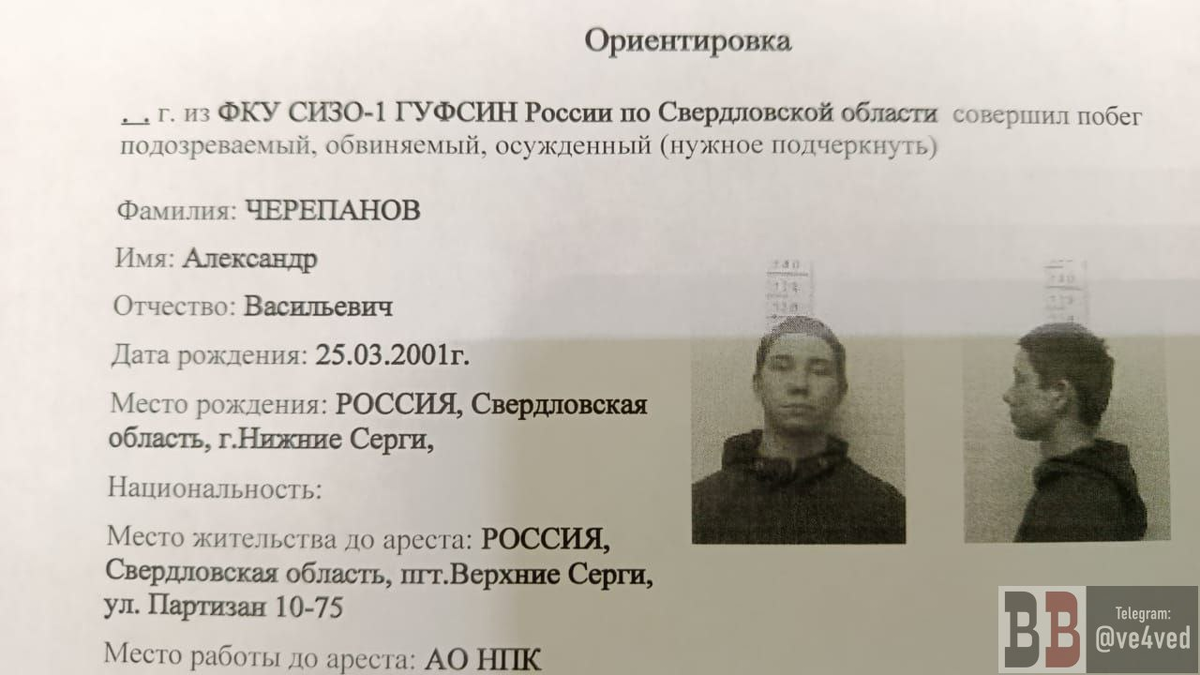     Фото: читатель Вечерних ведомостей