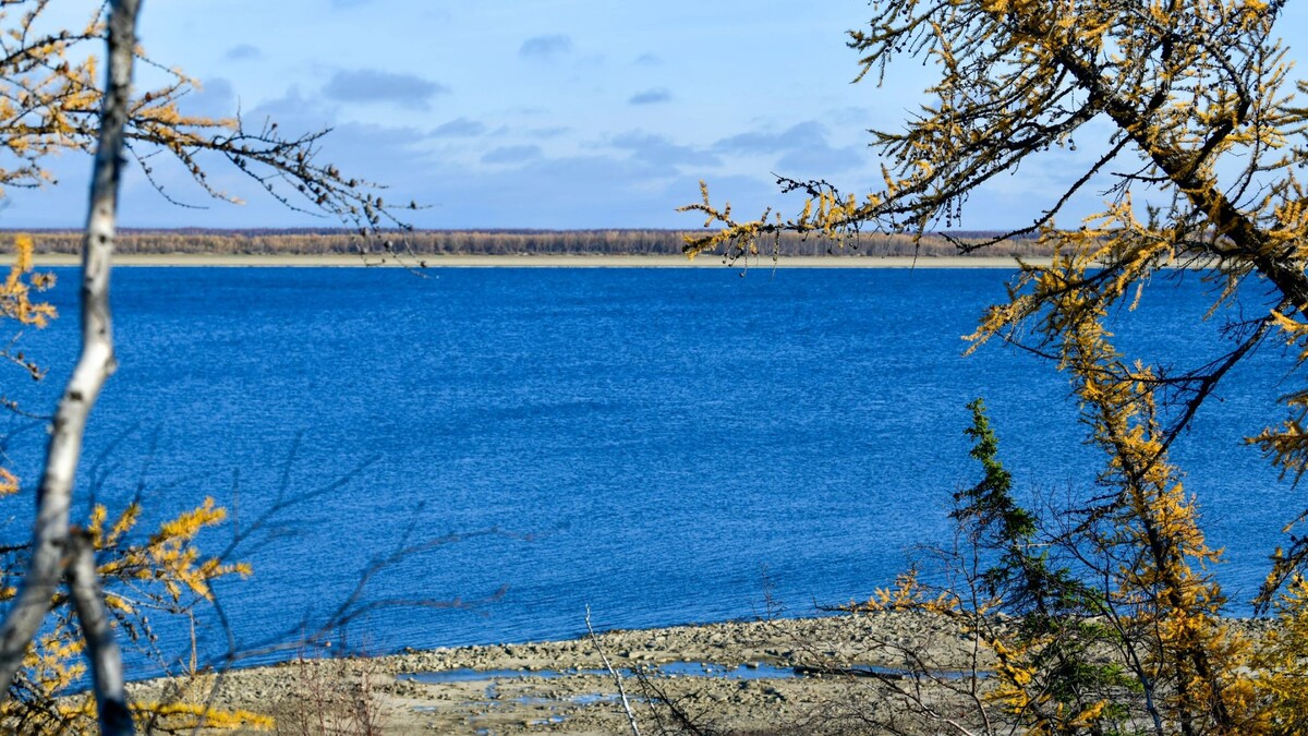    Фото: Федор Воронов / «Ямал-Медиа»