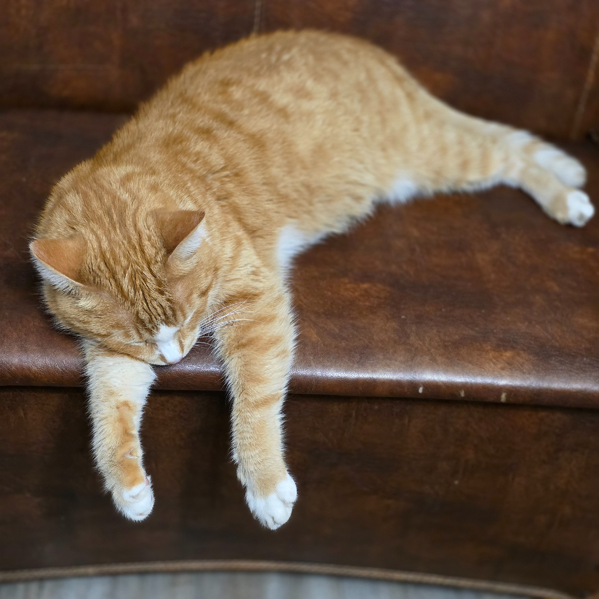 Устал мальчик от уколов 😢