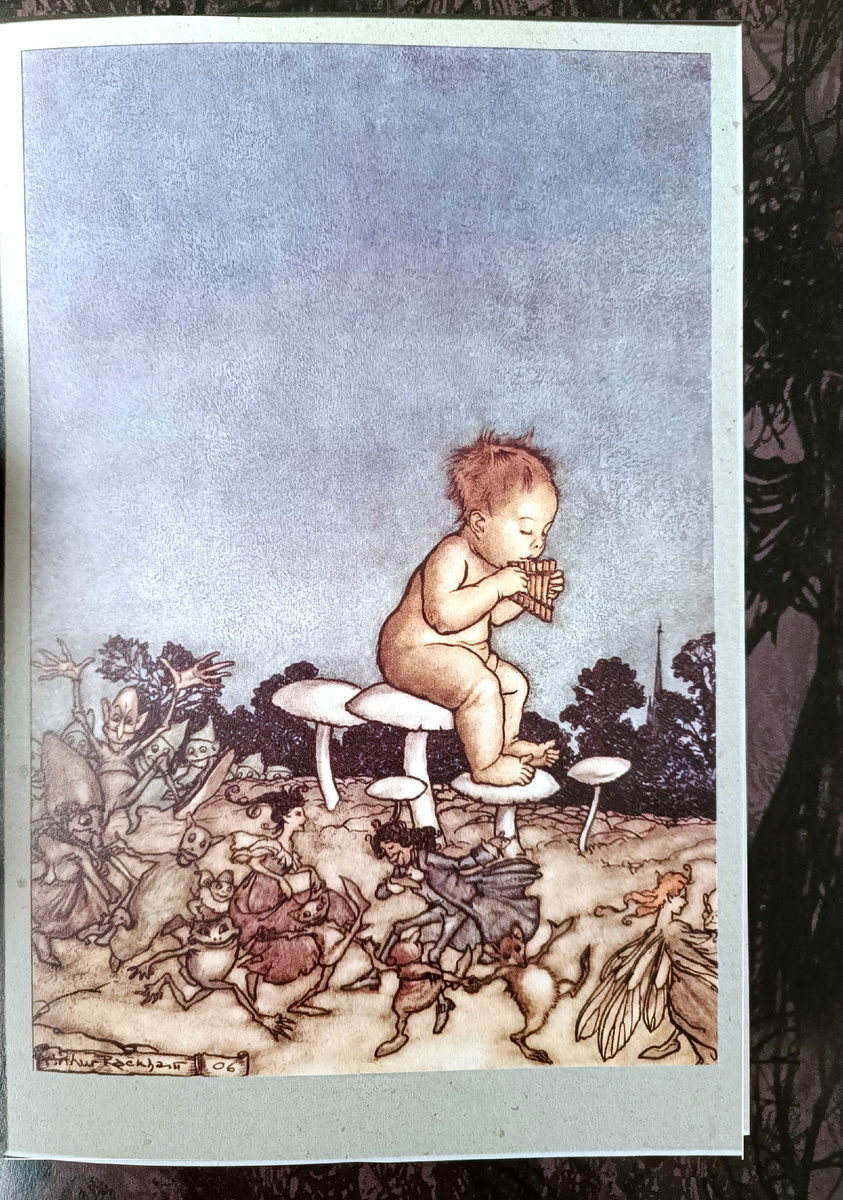 В центре композиции — младенец Питер Пэн, который сидит на шляпке большого белого гриба и играет на свирели (флейте Пана). Он изображён как обычный человеческий ребёнок, что соответствует ранней истории персонажа, когда он сбежал из дома и жил среди фей. Вокруг него, у подножия грибов, танцует и веселится толпа сказочных существ. Это характерные для стиля Рэкхема феи, гоблины и эльфы: некоторые изящные с крыльями бабочек, другие — гротескные, сгорбленные, с вытянутыми носами и костлявыми конечностями. Их движения экспрессивны и хаотичны, создавая ощущение дикого, первобытного праздника.