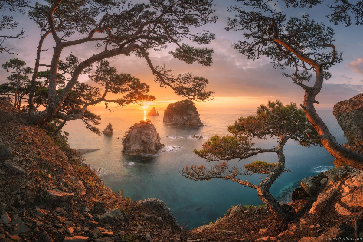 Картинка найдена на просторах интернета, ссылка https://yandex.ru/images/search?from=tabbar&img_url=https%3A%2F%2Fi.pinimg.com%2Foriginals%2Fa8%2F34%2F3f%2Fa8343f812879b5e7bd53274cf0217a19.jpg&lr=47&pos=15&rpt=simage&text=%D1%86%D0%B2%D0%B5%D1%82%D1%8B%20%D0%BA%D1%80%D1%83%D0%BF%D0%BD%D0%BE%20%D1%84%D0%BE%D1%82%D0%BE