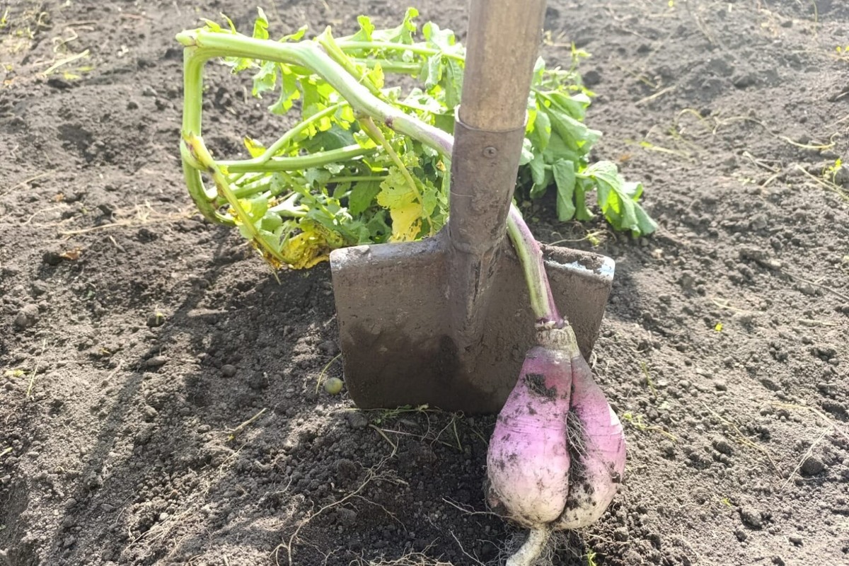    Фото предоставлено героиней публикации