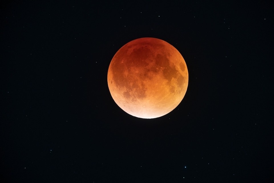    Астрофотограф заснял лунное затмение в Новосибирске. Фото: Алексей Поляков