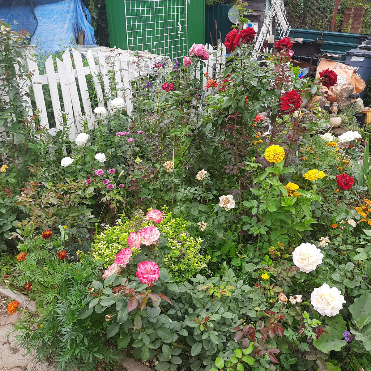 Розарий у Мельницы