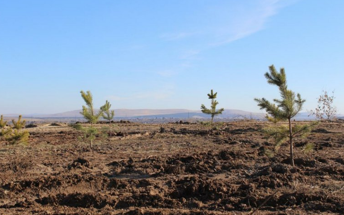    Фото: пресс-служба, источник: Абакан Официальный