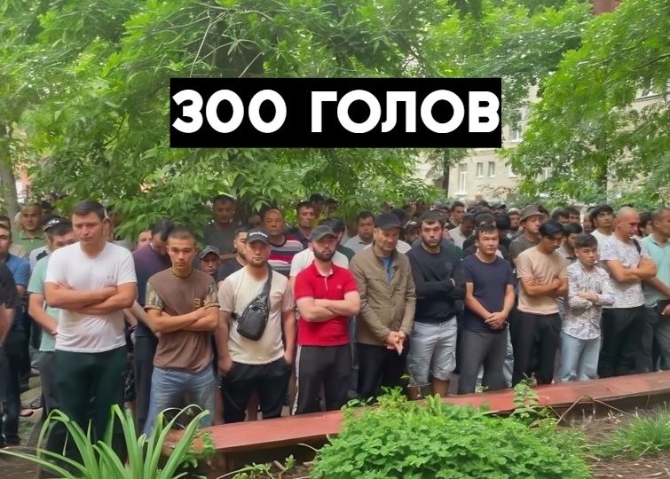 Силовики удивились, когда нагрянули в 1 из обычных хостелов: такого кол-ва приезжих они не ожидали увидеть