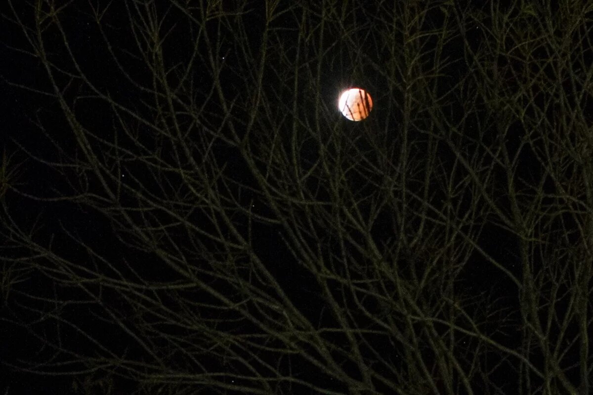   В воскресенье вечером два беспилотника были уничтожены над Курской областью