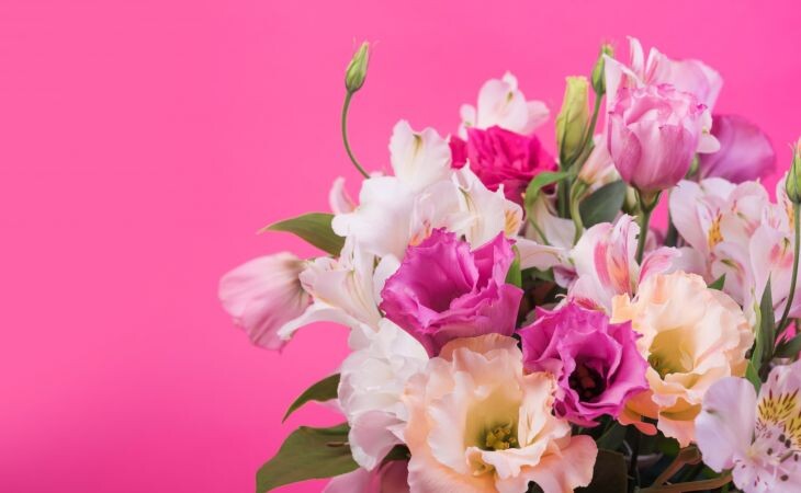 Фото:. Цветы ╱ freepik.com