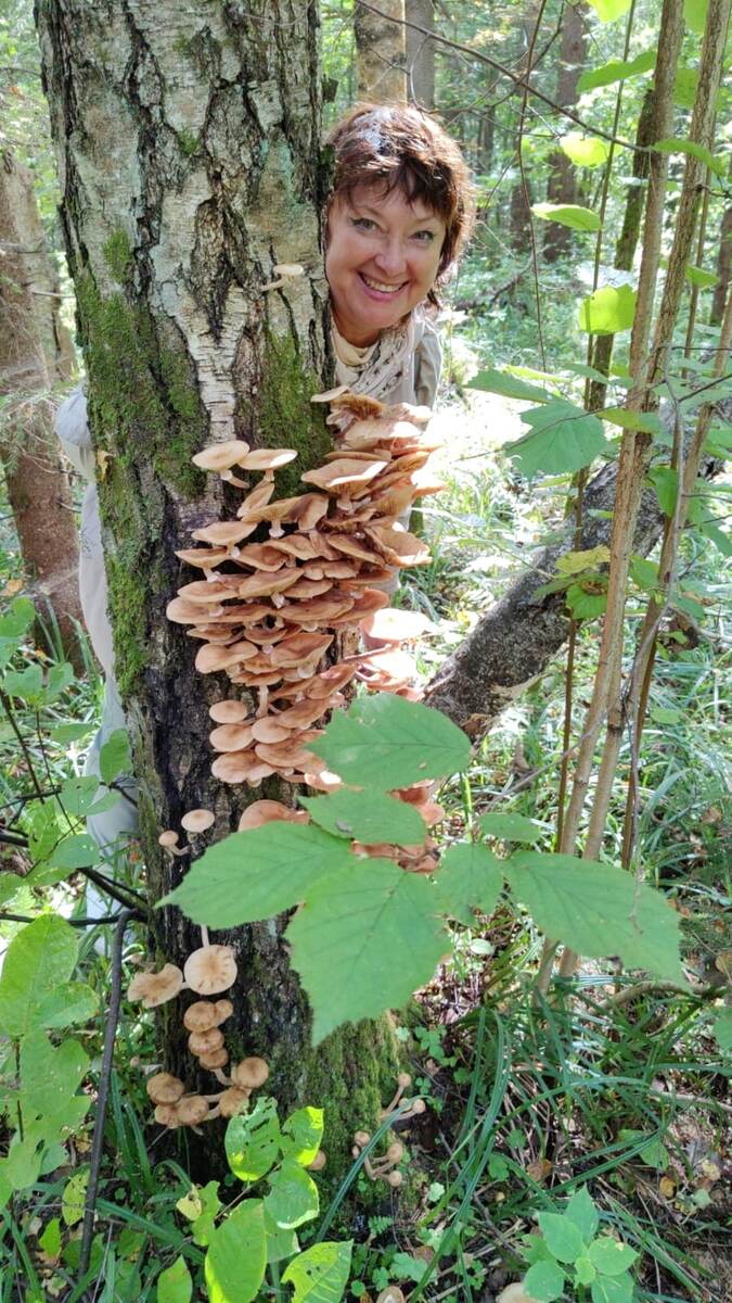 Фото автора.