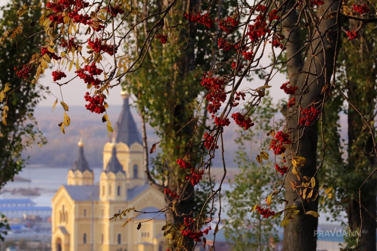    Дневная температура к концу недели снизится с +22° до +17°