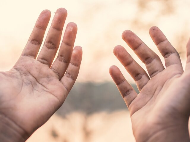    Фото: 123RF/alohaflaminggo