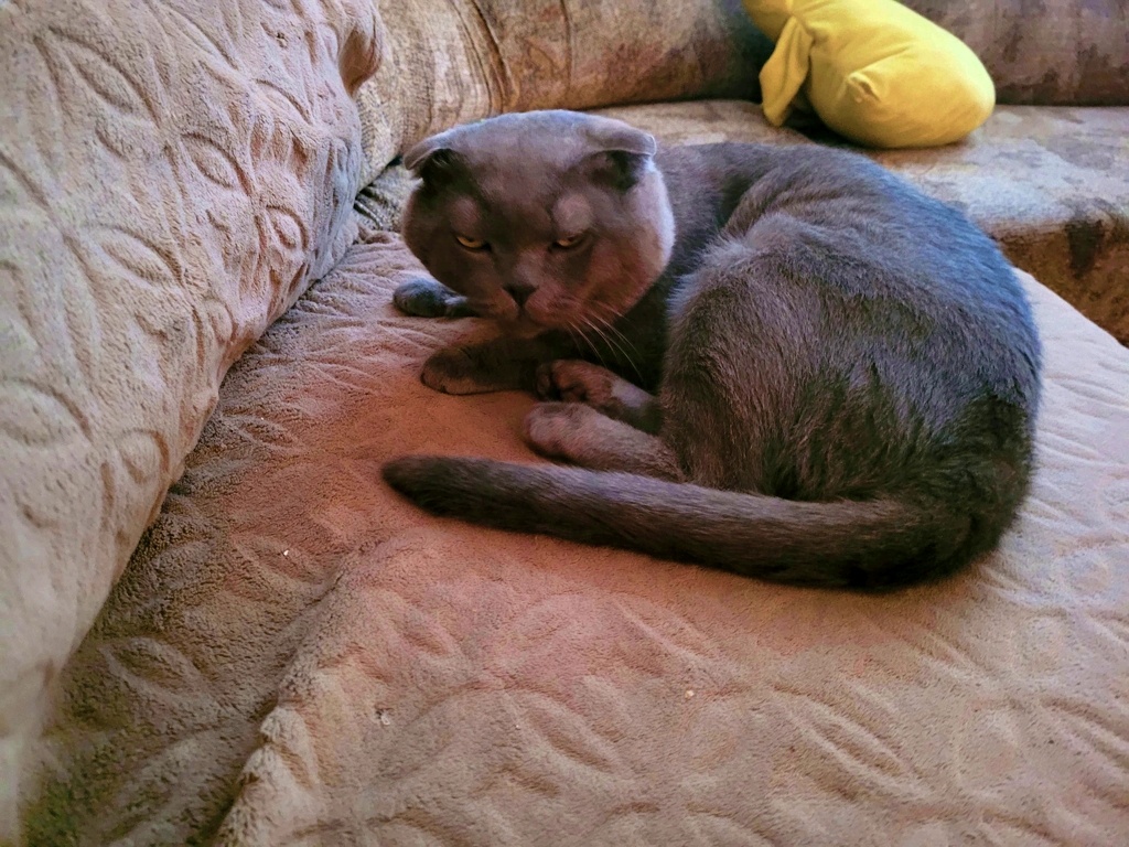 Еще один коуч)))