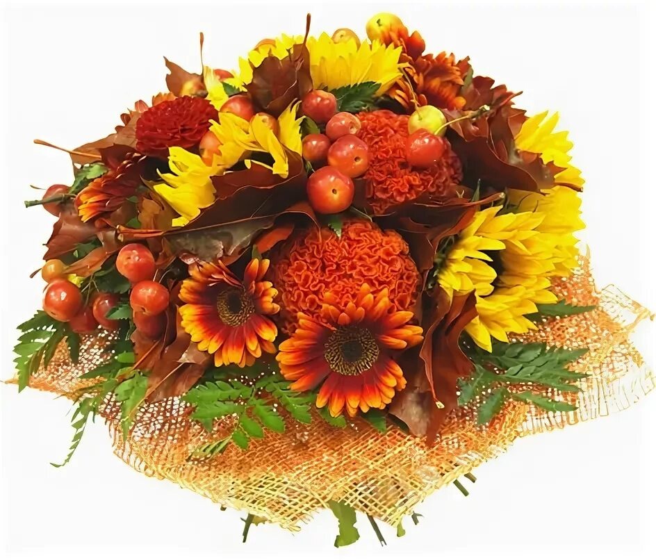 С осенью, друзья! 