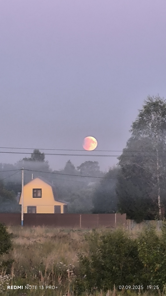 фото из личного архива