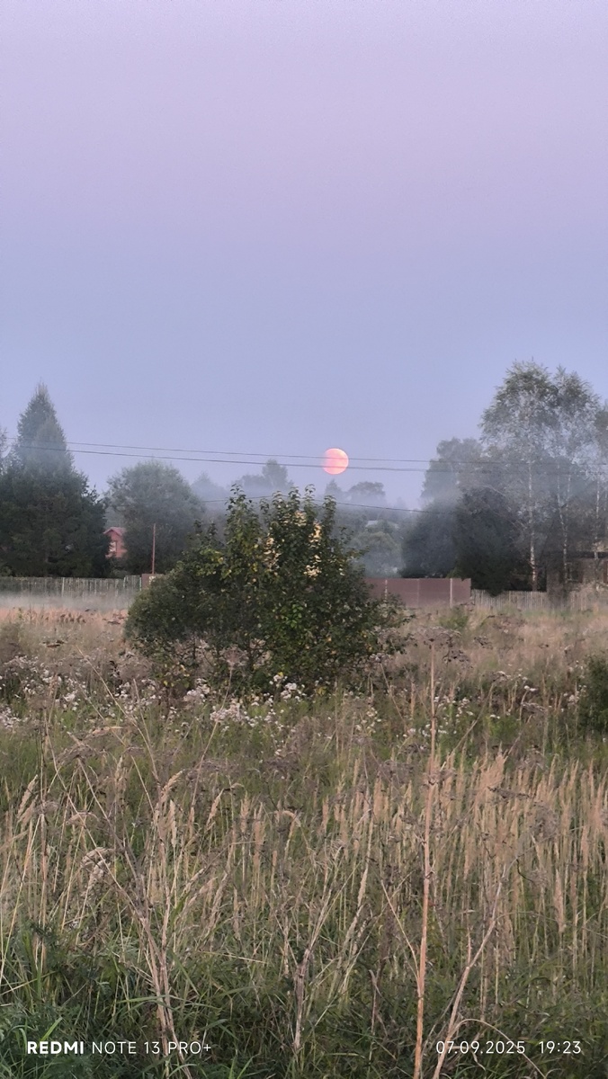 фото из личного архива