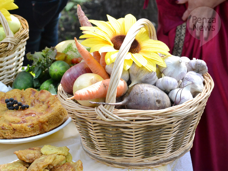    © Фото из архива ИА «PenzaNews»