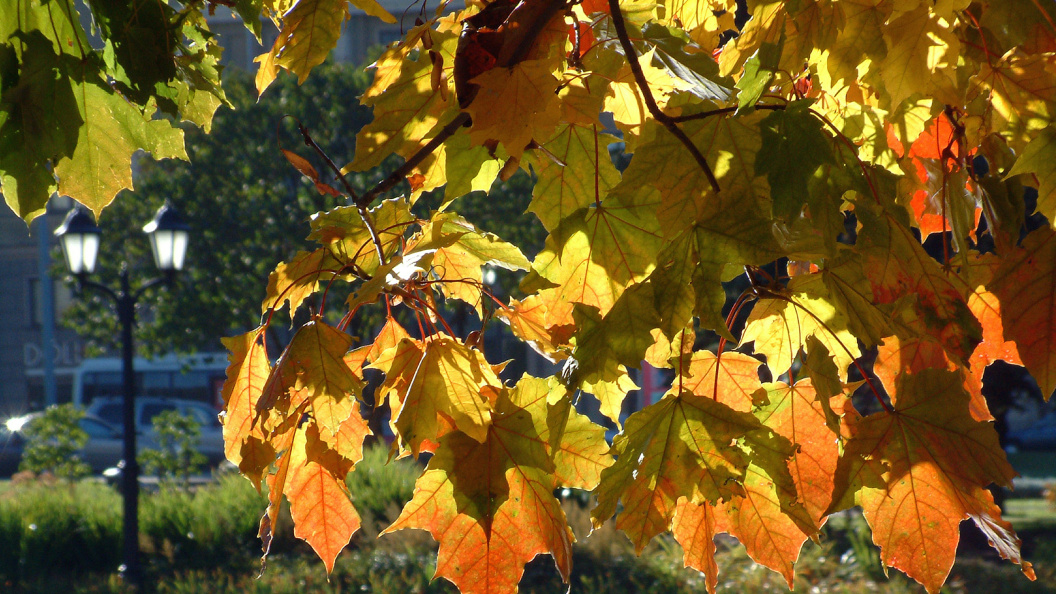    Victor Lisitsyn/Globallookpress