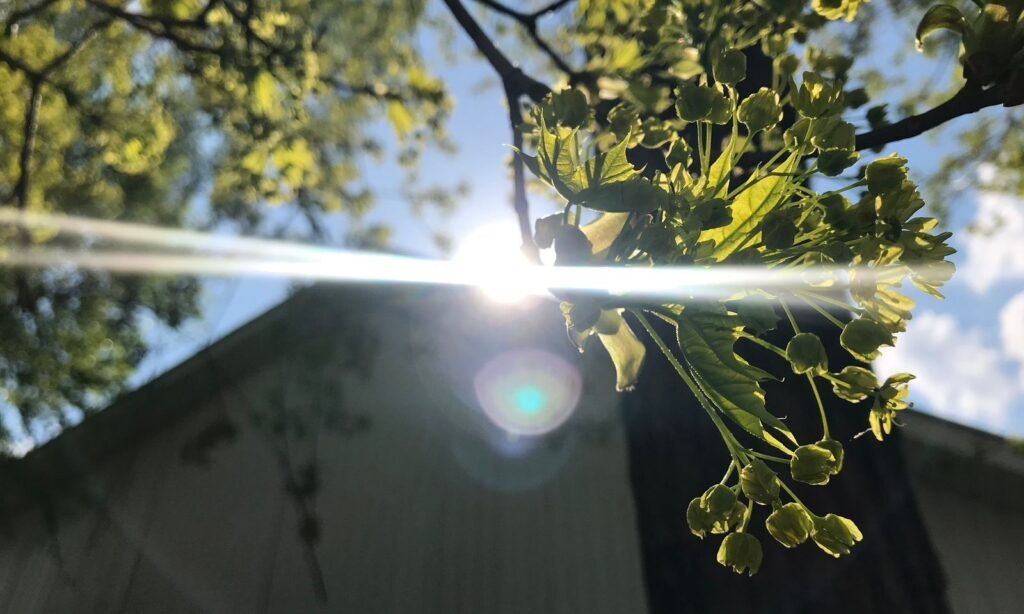    Фото: «В курсе.ру» Ульяна Бажанова