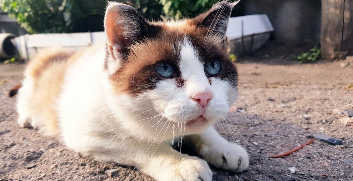    Фото: НИА "Экология"