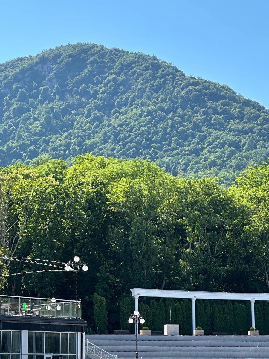 Железноводск очень зеленый город