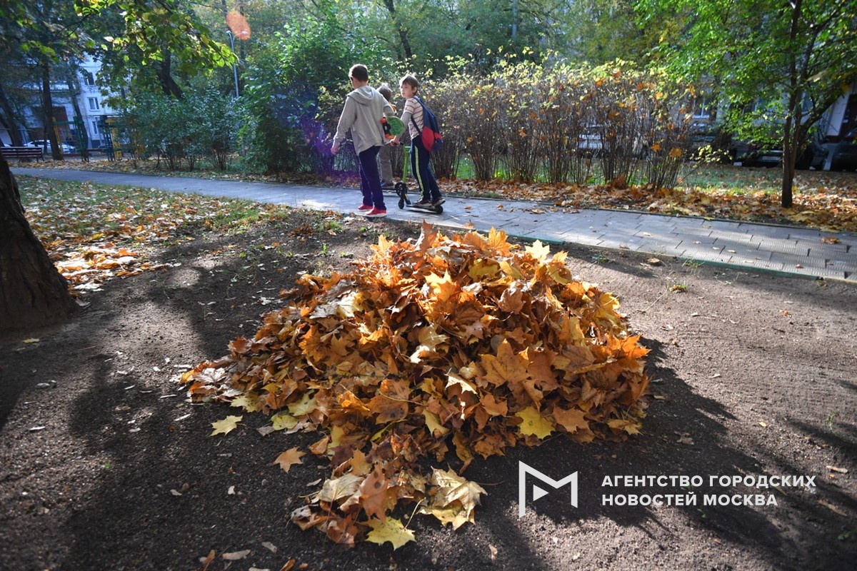 Фотограф: Сергей Киселев
