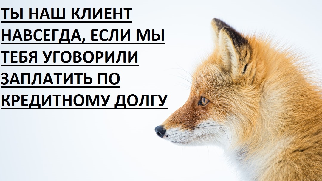 Мы тебя будем просуживать не один раз и ты ничего не сделаешь. Источник фото https://loon.site