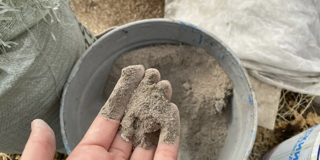 Как правильно вносить осенью золу на огороде: 3 частые ошибки, которые не любят растения и грунт