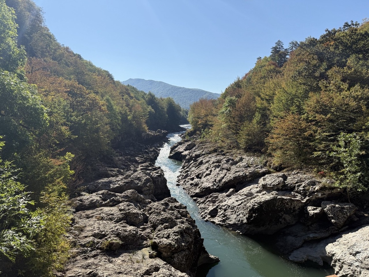 И такие тоже)