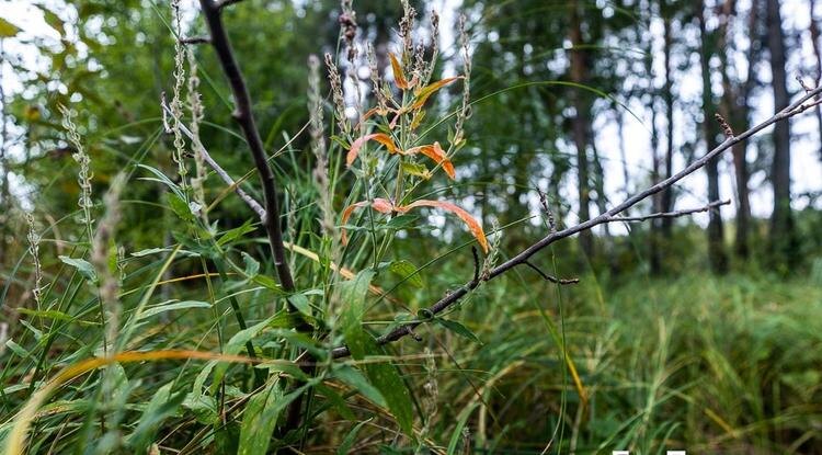Фото: Алексей Дацковский
