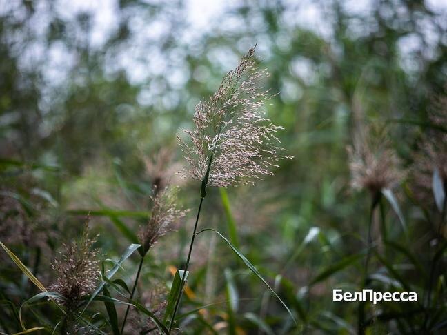 Фото: Алексей Дацковский