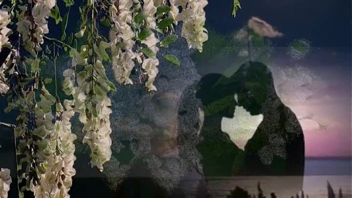 Фото из открытых источников в свободном доступе.