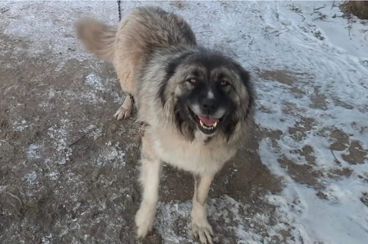 Фото предоставлено "КП"