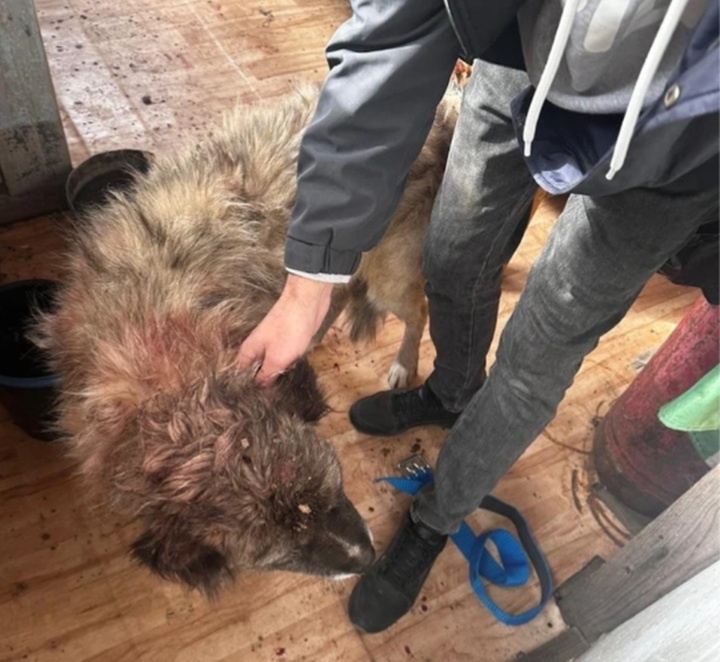 Фото предоставлено "КП"