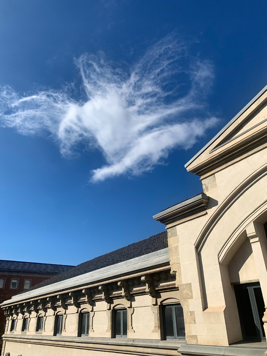  вы тоже это видите? я увидела не сразу… 