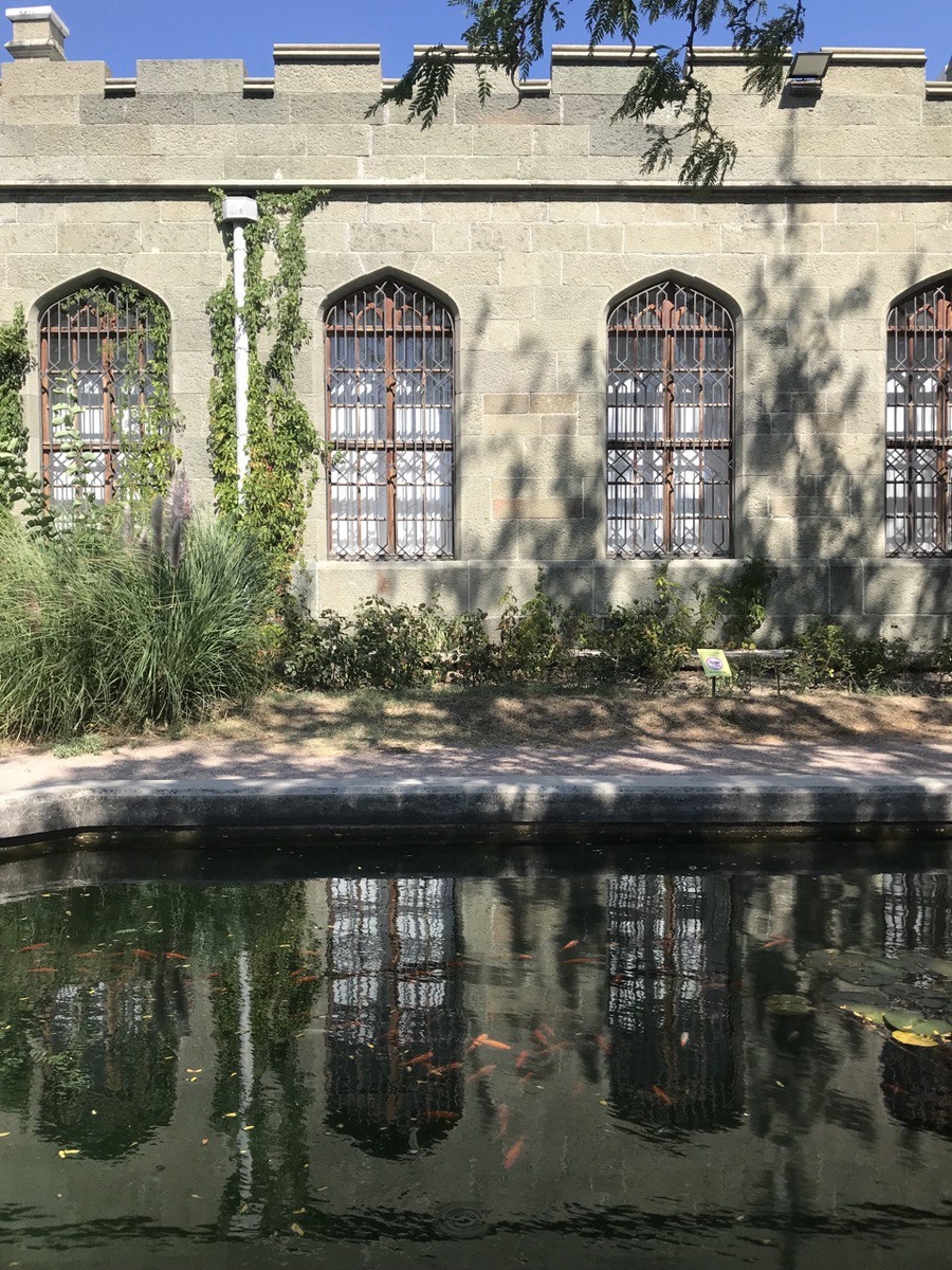 Фото автора. Одна из построек дворца Воронцовых.