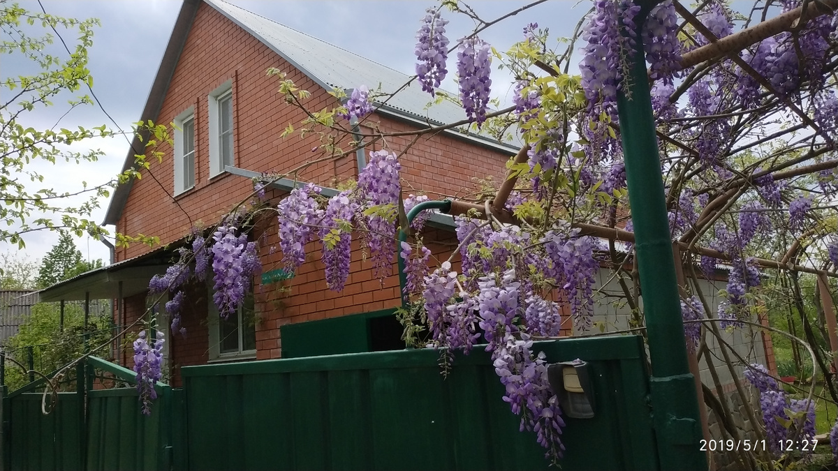 #speaking #говорение #Describe_a_house_from_your_past #Опишите_дом_из_вашего_прошлого