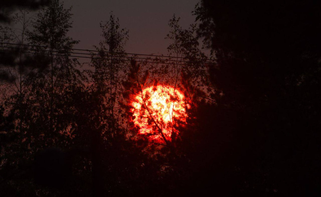    © Telegram / Александр ДроZденко