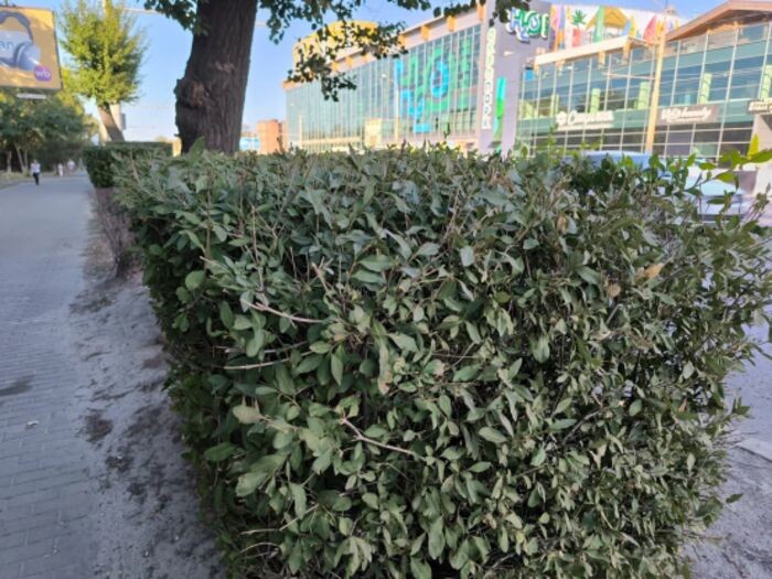 Иллюстрация: © «Панорама»