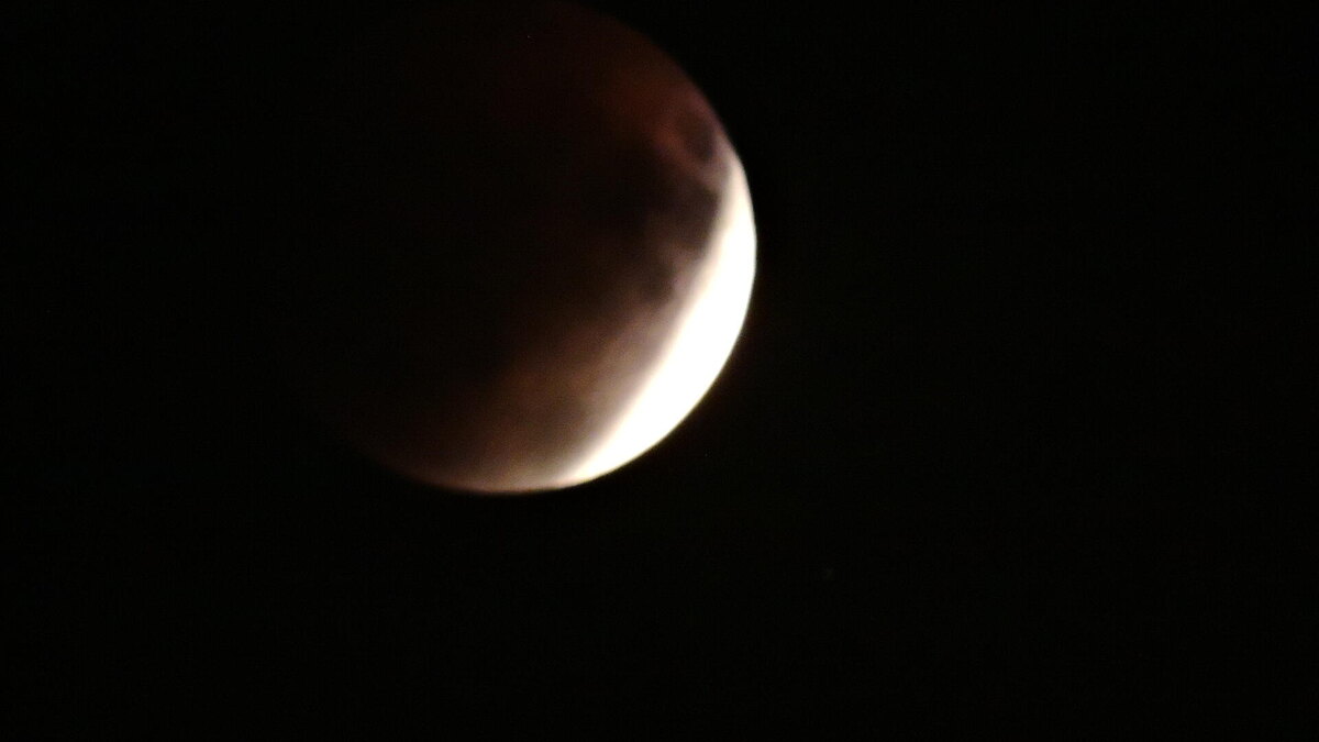 Фото Светланы Лунной