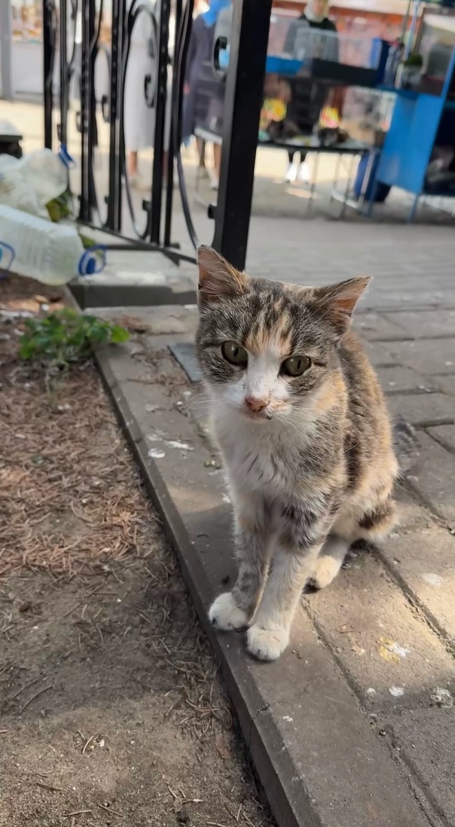 Нос белый, еле стоит. Фото из архива автора