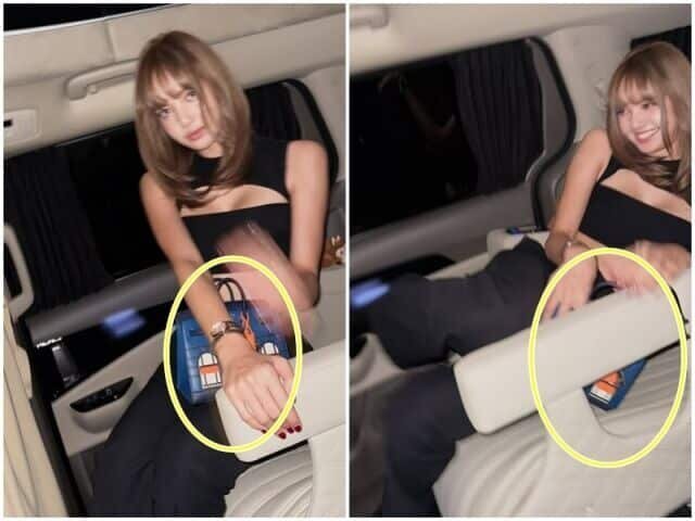   Лиса с ультра-редкой сумкой Birkin. / Фото из социальных сетей