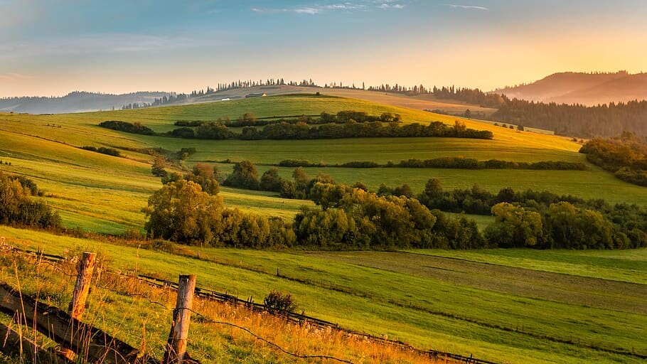 Фото из интернета.