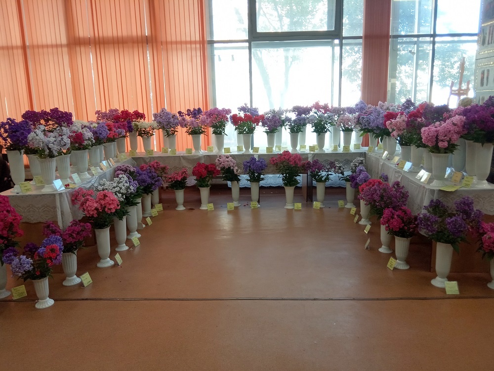 Фрагменты экспозиции