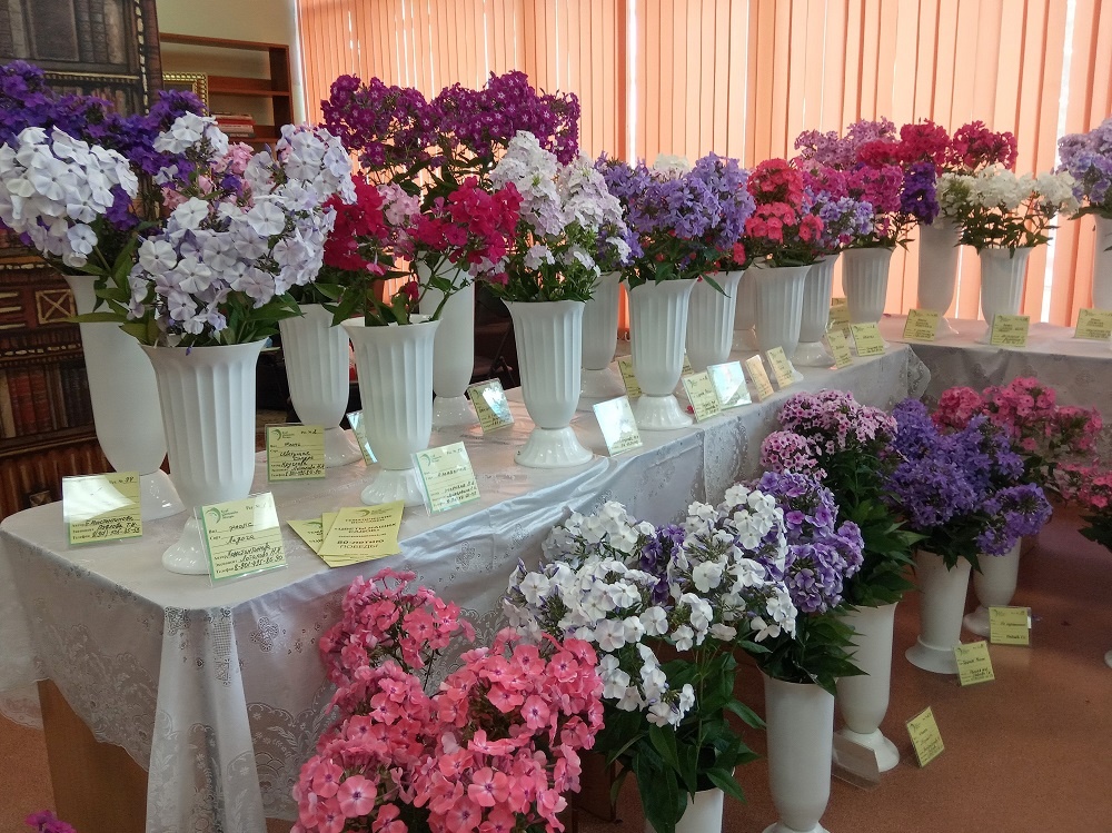 Фрагменты экспозиции