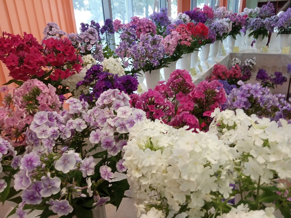 Фрагменты экспозиции