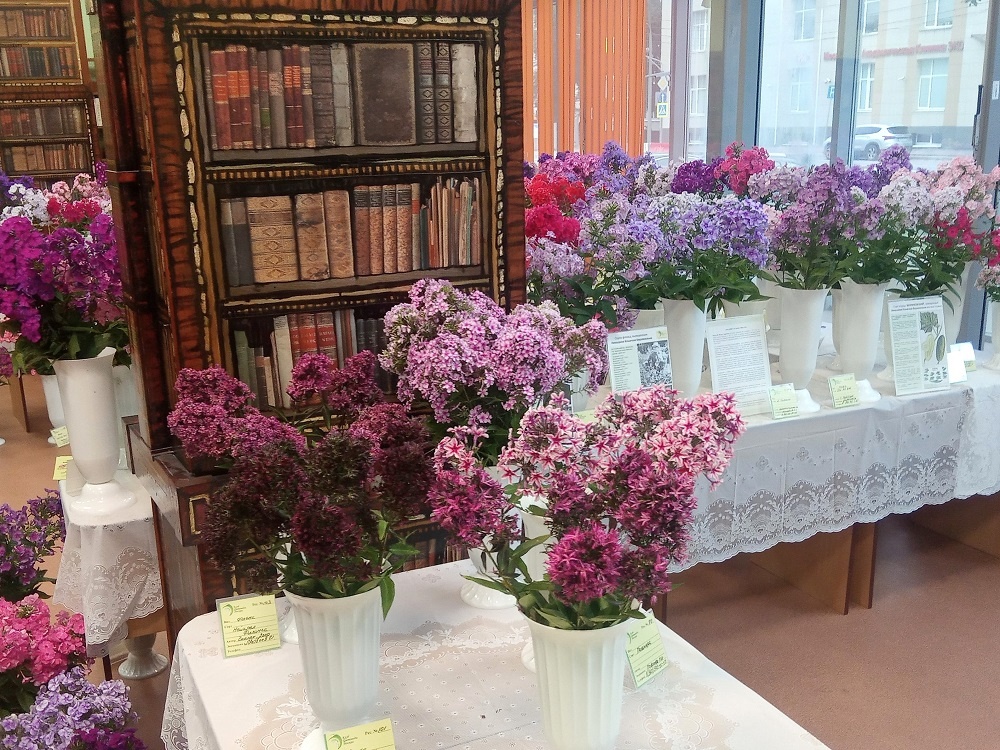 Фрагменты экспозиции