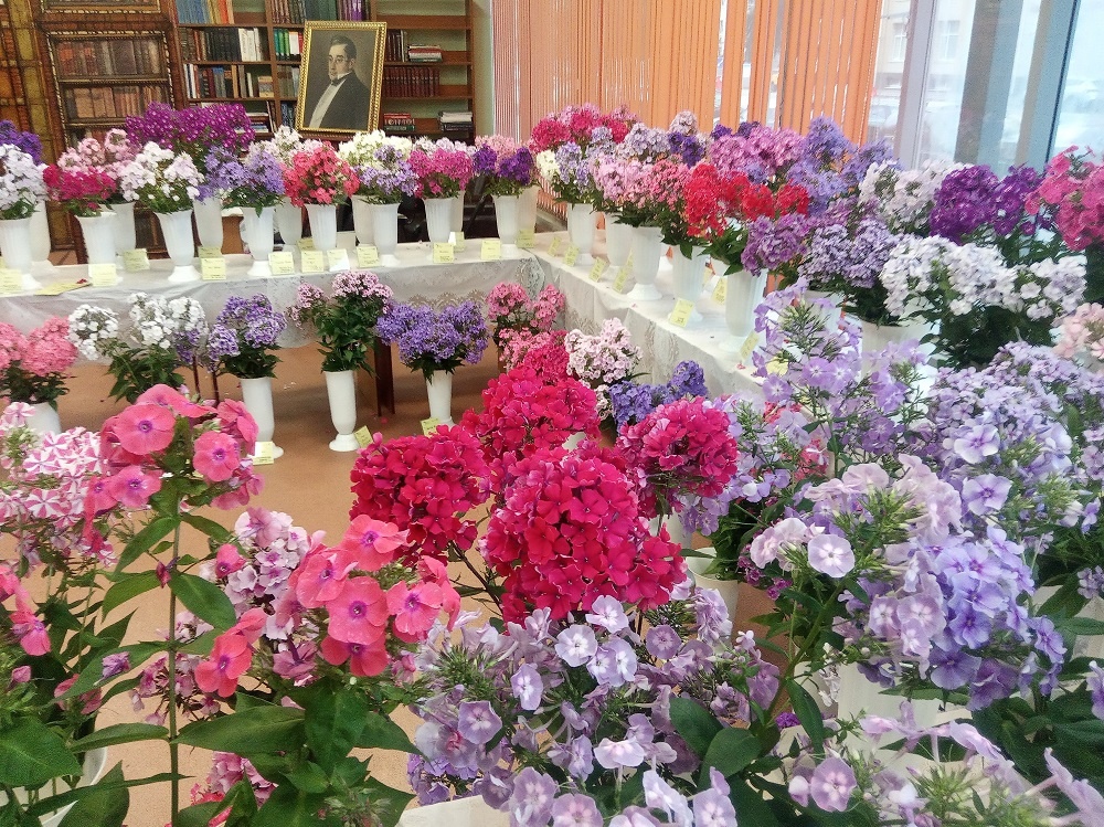 Фрагменты экспозиции