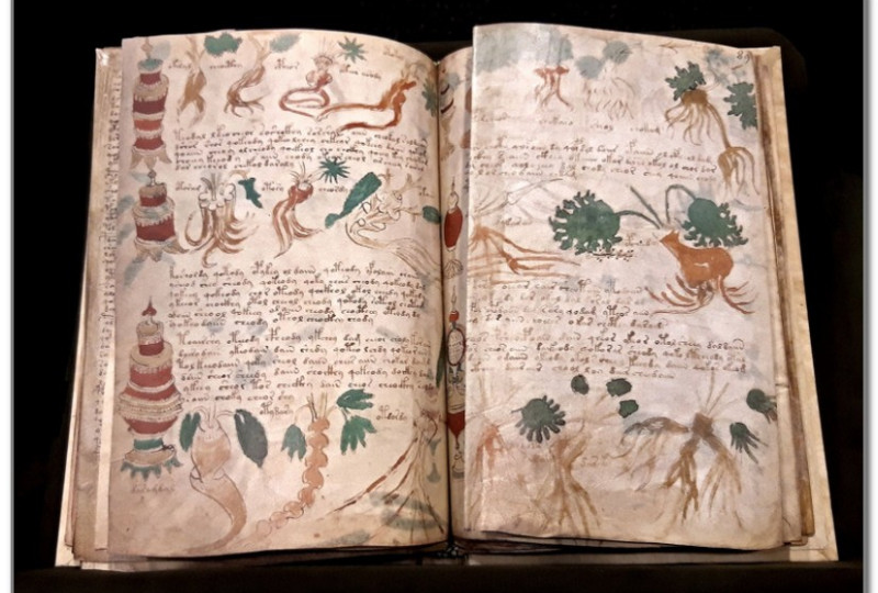 Манускрипт Войнича: книга, которую никто не может прочесть