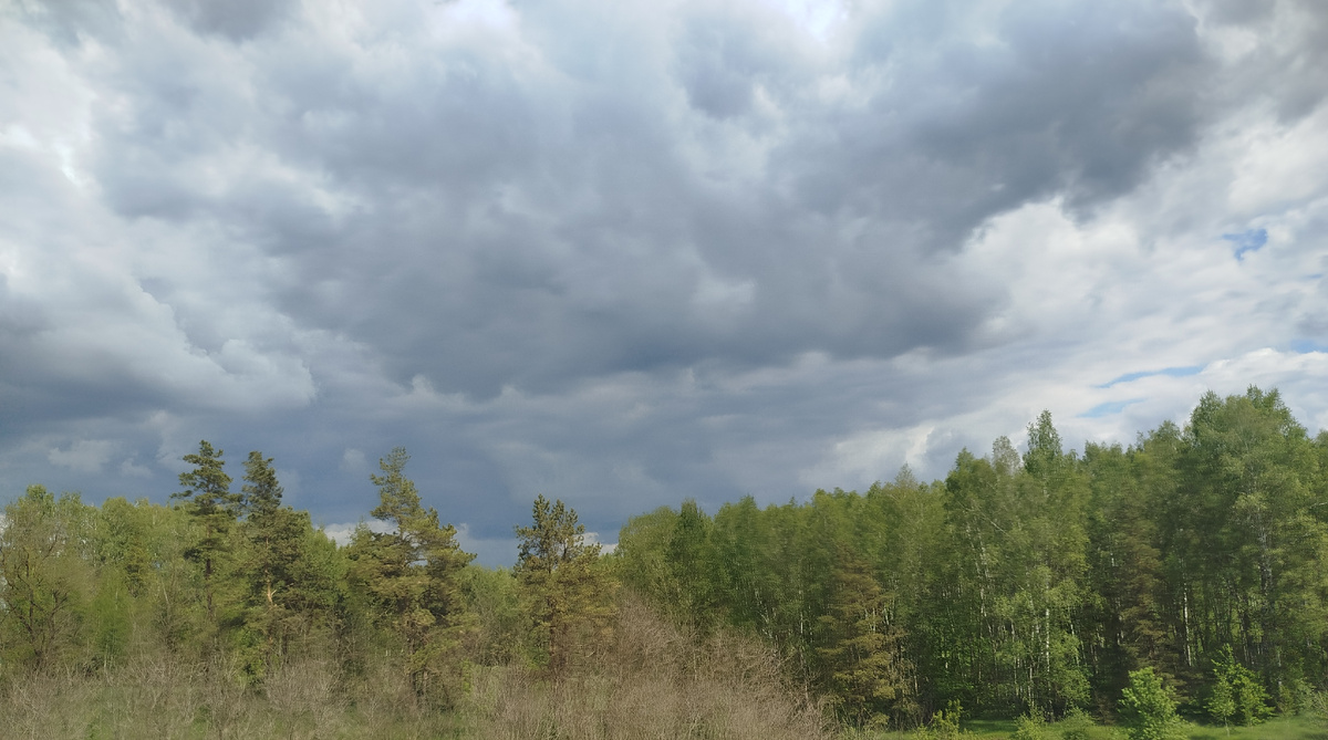 Синие тучи по дороге